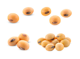 Soybean isolated on white background