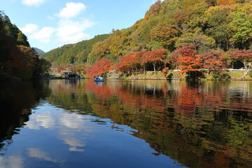 Fototapeta premium 秋色に染まった鎌北湖 (埼玉県毛呂町)(秋/紅葉)