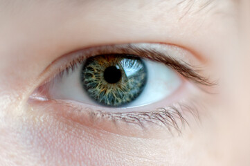 Obraz premium human eye close up. macro photo
