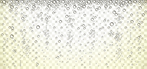 Champagne Bubbles on a Horizontal Background