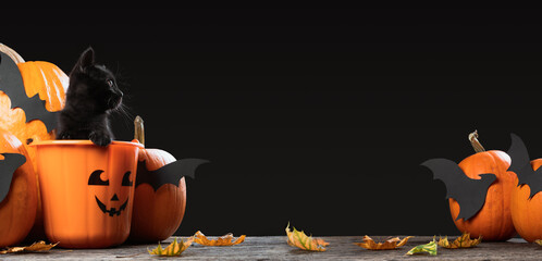 Writeable Halloween consept. An adorable black kitten sitting in halloween trick or treat bucket...