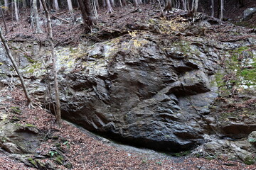 登山道で見つけた巨岩