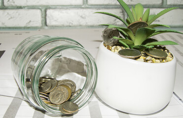 Growing plants in savings coins, a flower pot with aloe and a glass jar with coins - an investment-interest concept