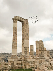 Fototapeta na wymiar Birds flying through the Roman ruins of the Amman citadel