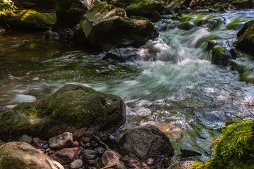 Fototapeta premium Auvergne 