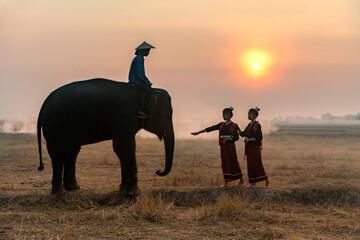 Fototapeta na wymiar Silhouette, a twin woman in traditional Thai dress Playing with elephants having fun at the rice field. At sunrise