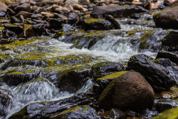 Auvergne 