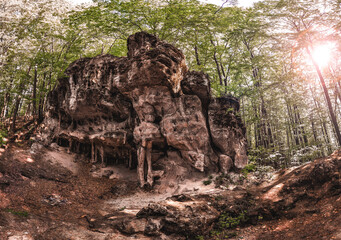 rocks in the woods