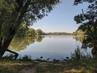 reflection of trees in lake