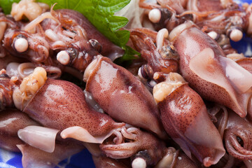 釜揚げホタルイカ