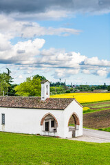 Rapeseed and poppy fields in Tricesimo.