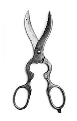 strange horns shape scissors