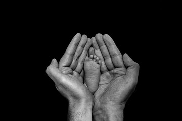 Fototapeta premium father's hands holding baby foot. Black and White in black background