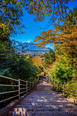 The Chureito Pagoda and Arakura Sengen Shrine, a Shinto shrine in Yamanashi Prefecture, Japan, close to Mount Fuji, seen here in autumn.
