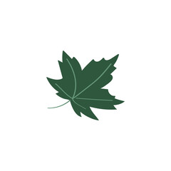 Maple leaf icon. Cute colored flat doodle vector illustration