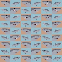 Wild Shark Cute Illustration, Cartoon Funny Character, Pattern Wallpaper 