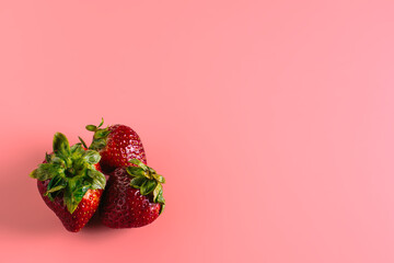 three fresh juicy strawberries lie on a pink background. copyspace