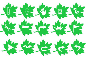 Web icon set in green leaf button, various icon set