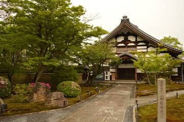 Exploring the temples and nature around Kyoto and Nara on Honshu island in Japan