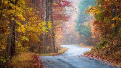 A road through Stokes State Forest in New Jersey on a foggy autumn morning