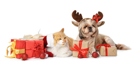 Cute cat and dog with Christmas gifts and decor on white background