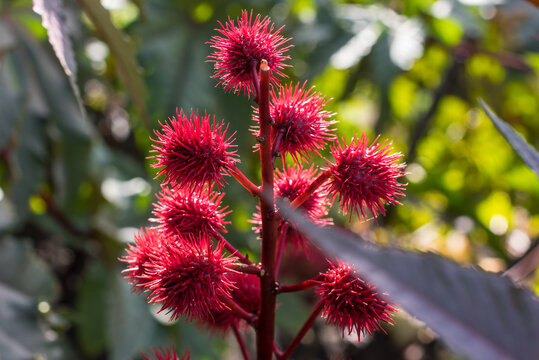 Jahreszeiten | Herbst | Natur