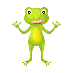 Cute funny frog print on white background. Cartoon animal character for design of album, scrapbook, greeting card, invitation, wall decor. Flat colorful vector stock illustration.