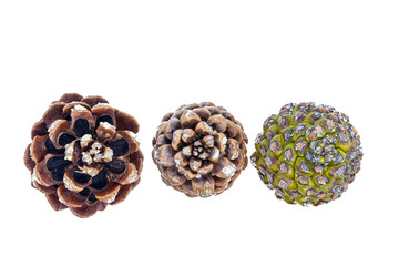 Closeup of closed and open pinecones over pine needles background