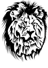 Obraz premium male lion