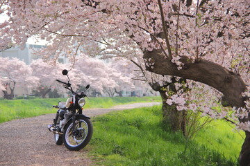 春のツーリング