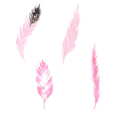 Watercolor set of pink bird feathers. Perfect for print, web design, planner, gift items and many other creative ideas.