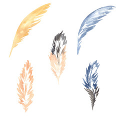 Watercolor illustration of blue and beige bird feathers. Perfect for print, web design, planner, gift items and many other creative ideas.