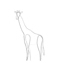SINGLE-LINE DRAWING OF A GIRAFFE. This hand-drawn, continuous, line illustration is part of a collection of artworks inspired by the drawings of Picasso. Each gesture sketch was created by hand. - obrazy, fototapety, plakaty