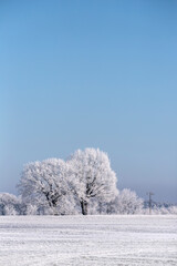 Obraz na płótnie Canvas Winter Idyll In The North Of Germany