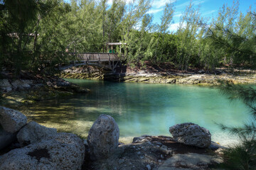 A wooden footbridge crosses the turquoise water of a small pond surrounded by lush tropical vegetation on the Caribbean island of Coco Cay, Bahamas on a bright sunny day.