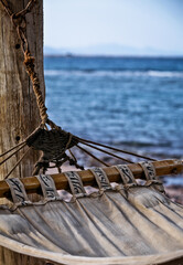 old hammock by the beach