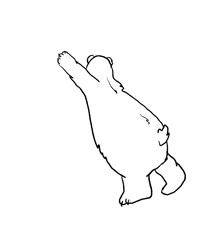 bears decor children's coloring book, outline