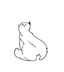 bears decor children's coloring book, outline