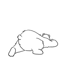 bears decor children's coloring book, outline