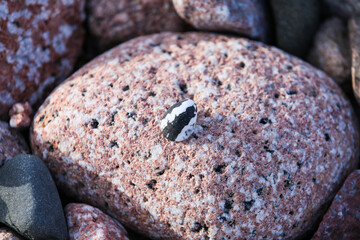 Closeup to rocks on beach