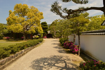 Exploring the beautiful temples and pagodas around Kyoto and Nara on Honshu Island, Japan