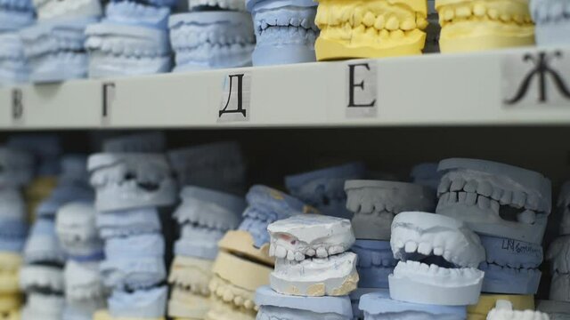Place of storage of plaster models of human jaws in an orthodontic clinic. Control and diagnostic dental casts