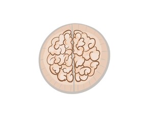 The picture of 2 brain hemispheres