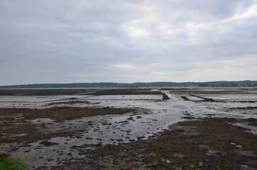 Le bassin ostréicole de Saint-Vaast la Hougue ostréiculture parc à huitres 