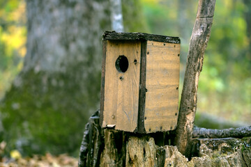 Bird feeder in the autumn forest.