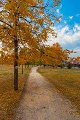 Autumn park trees in Bucharest, Romania 