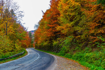 Colourful autumn mountain Transfăgărășan road in Romania