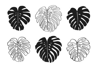 Set of monstera leaf black illustrations isolated on white background. Vector