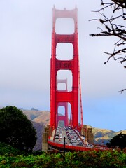 North America, United States, California, the Golden Bridge in San Francisco