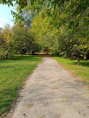 path in the park